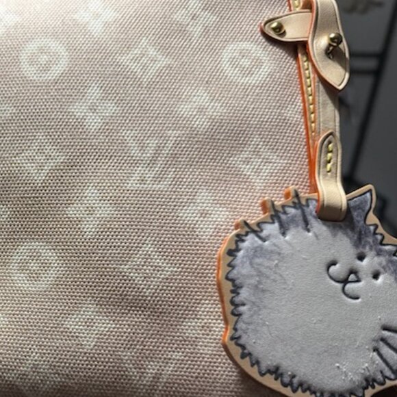 BRAND NEW STUNNING FASHION TRUNK-GM SIZE-New Cat Collection Handbag - Picture 8 of 8